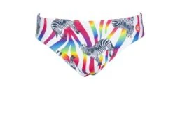 Maillot De Bain Arena Homme Crazy Zebras Brief Multicolor -Sportifs Équipements Magasin 002908 850 m crazy zebras brief 005 f s