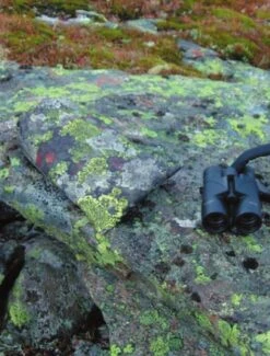 Jerven Fjellduken Hunter 21 Jerven Fjellduken Hunter -Sportifs Équipements Magasin jervenbag hunter montain