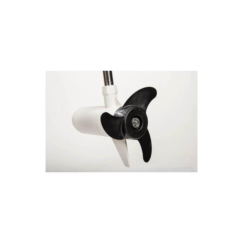 MOTEUR HASWING COMAX N 55 LBS 12V 5 MOTEUR HASWING COMAX N 55 LBS 12V – Image 3