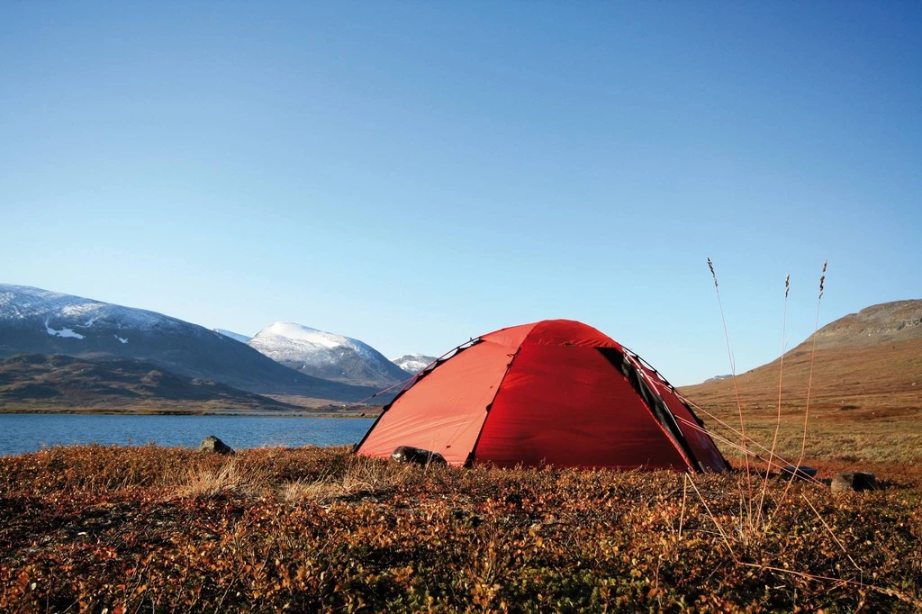 Sardine SwissPiranha RT150 - 15 Cm 6 Sardine SwissPiranha RT150 - 15 Cm – Image 4